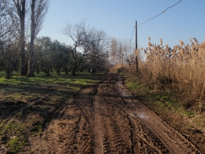 İznik Ultra parkuru İznik Ultra parkuru
