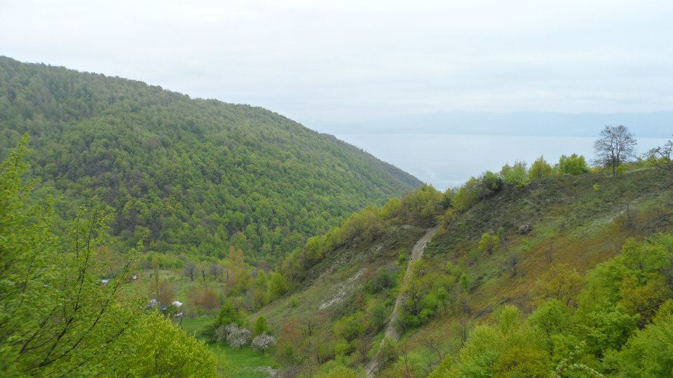 İznikUltra patika