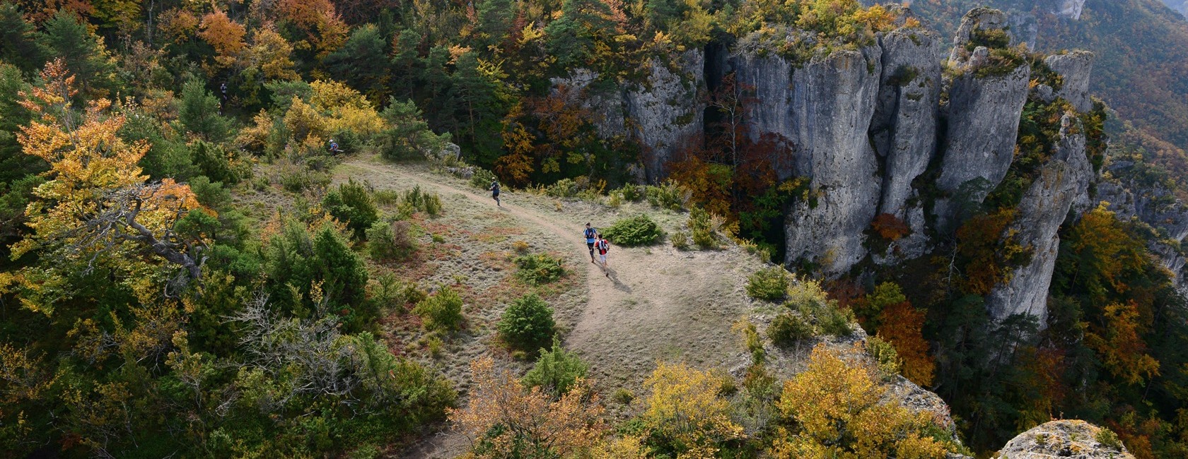 Festival des Templiers yarış parkurlarından