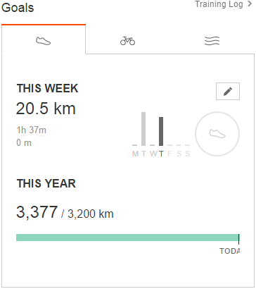 Strava 2016 özeti