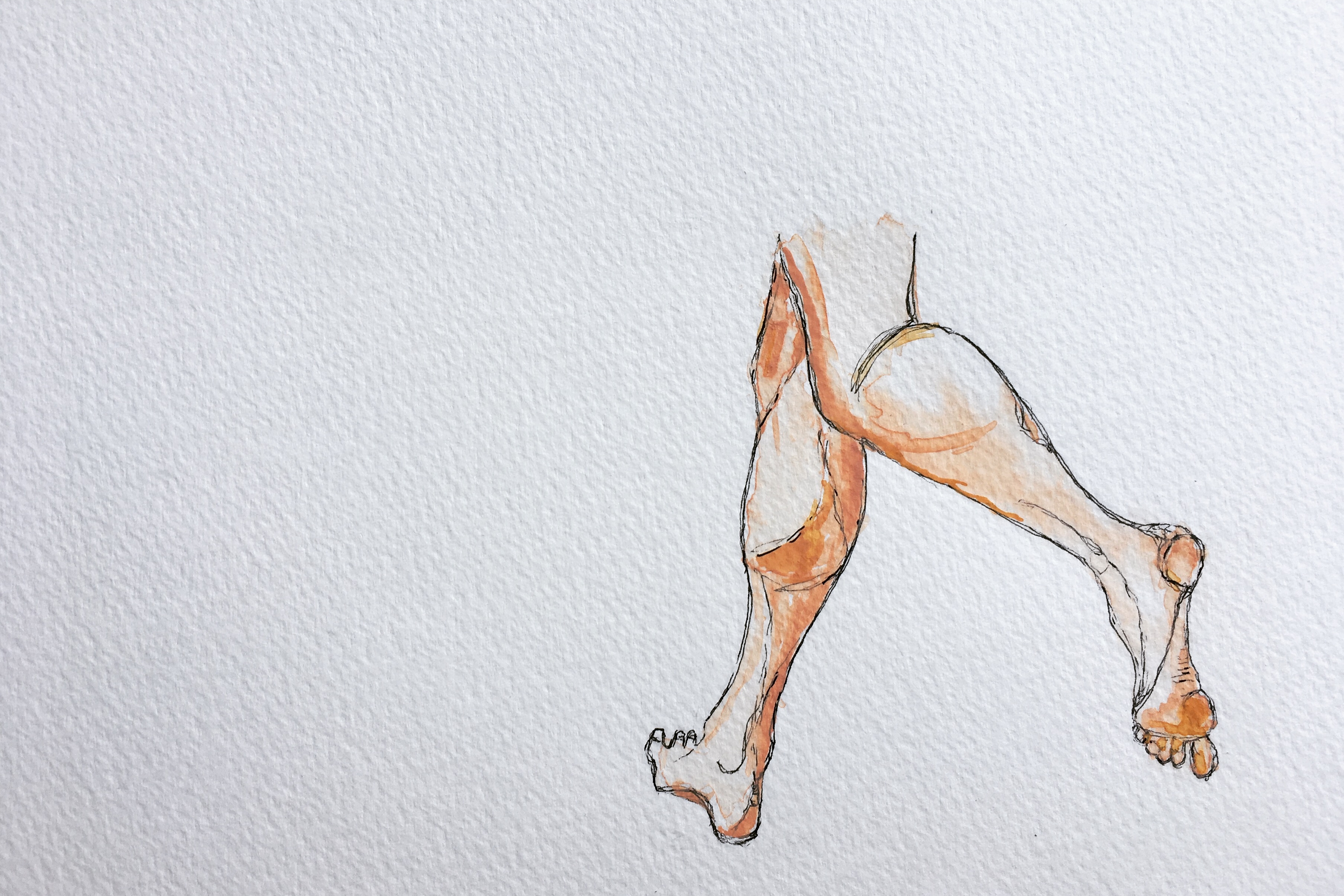 Başak Gürbüz Derman (https://www.instagram.com/baguder)